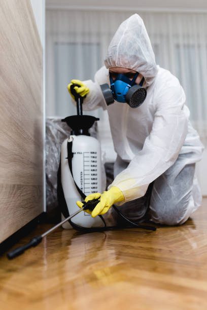 Professional Pest control in Granite Bay, CA